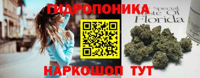 хмурый Кимры