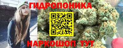 mix Кингисепп