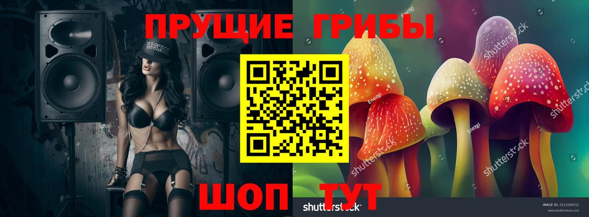 Псилоцибиновые грибы Magic Shrooms  даркнет сайт  Псилоцибиновые грибы прущие грибы  Ковров  Вход с VPN 