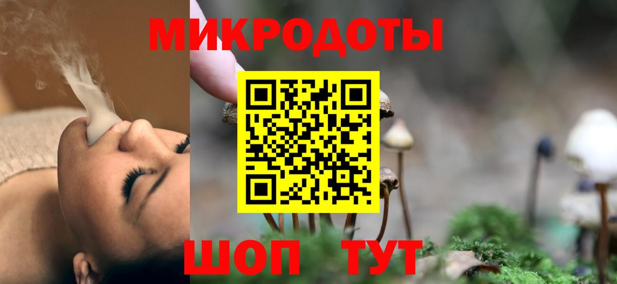 Галлюциногенные грибы Psilocybine cubensis Ковров